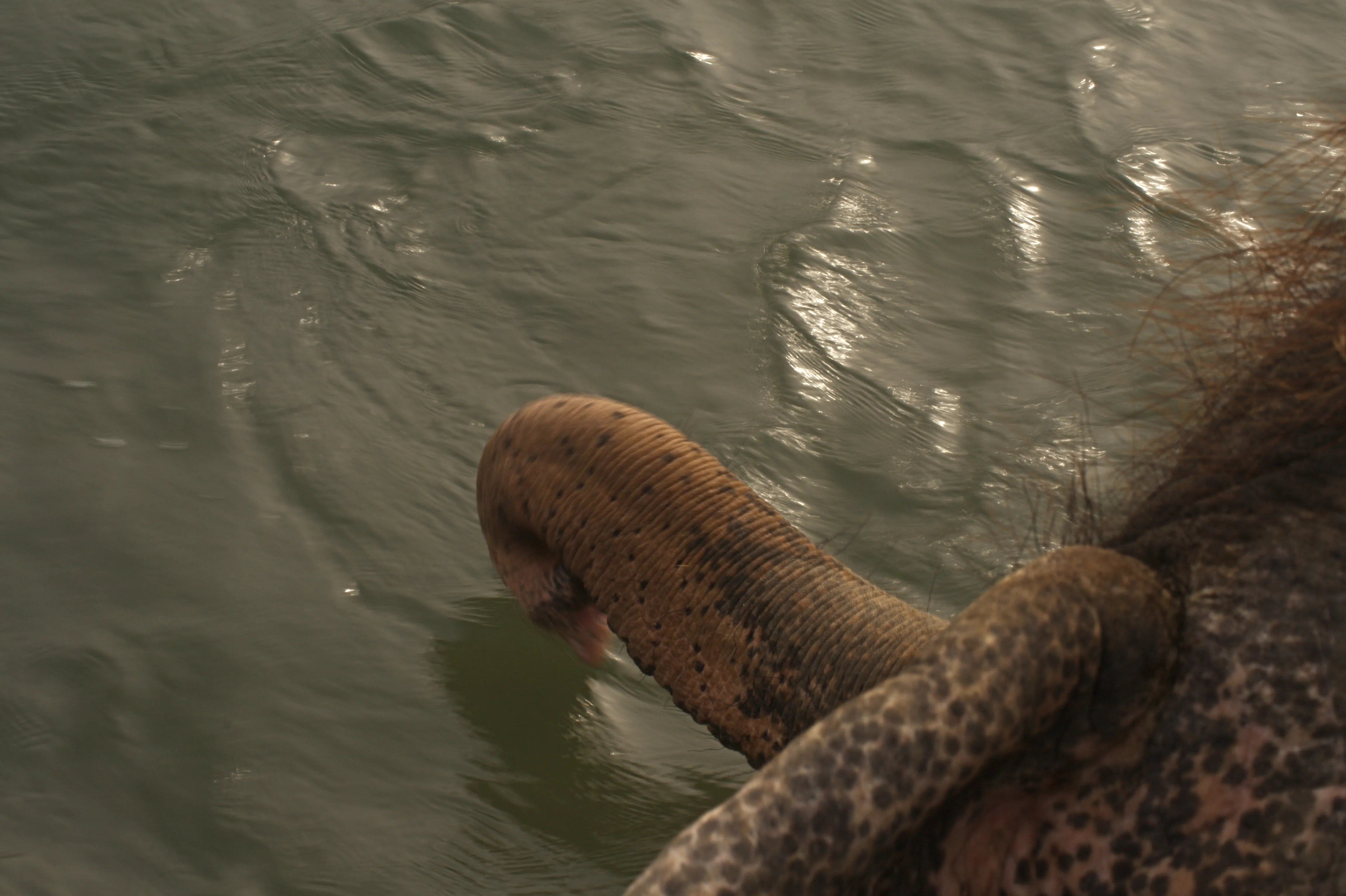 Nepal — photographic series