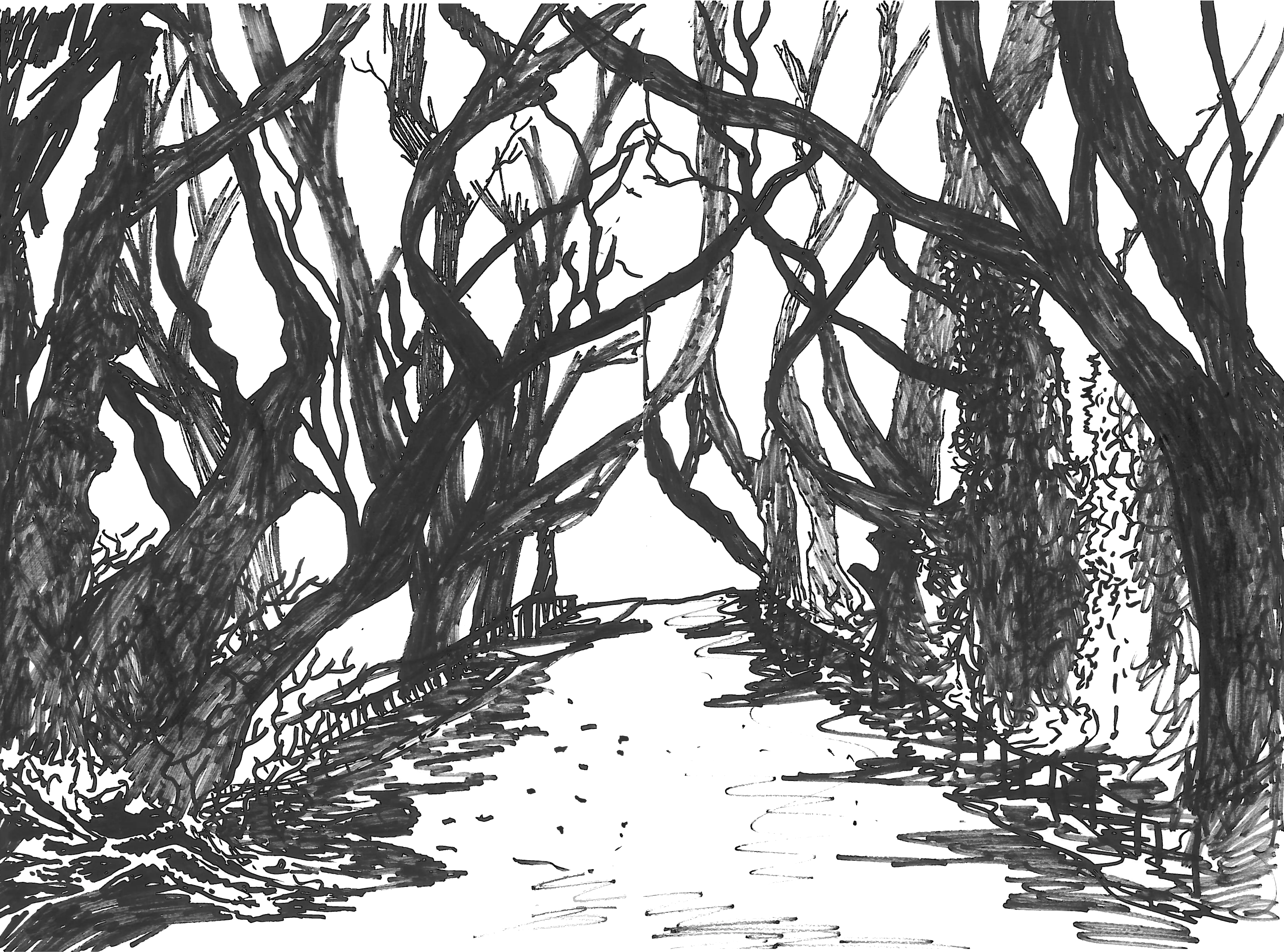 Park