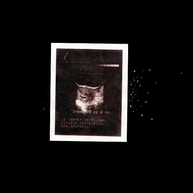 Freddy Manuel - Artist Portrait Animation